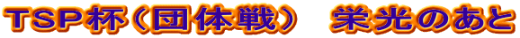 TSPtic̐j@ĥ